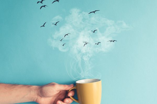 Mainostoimisto Taiga Taiga